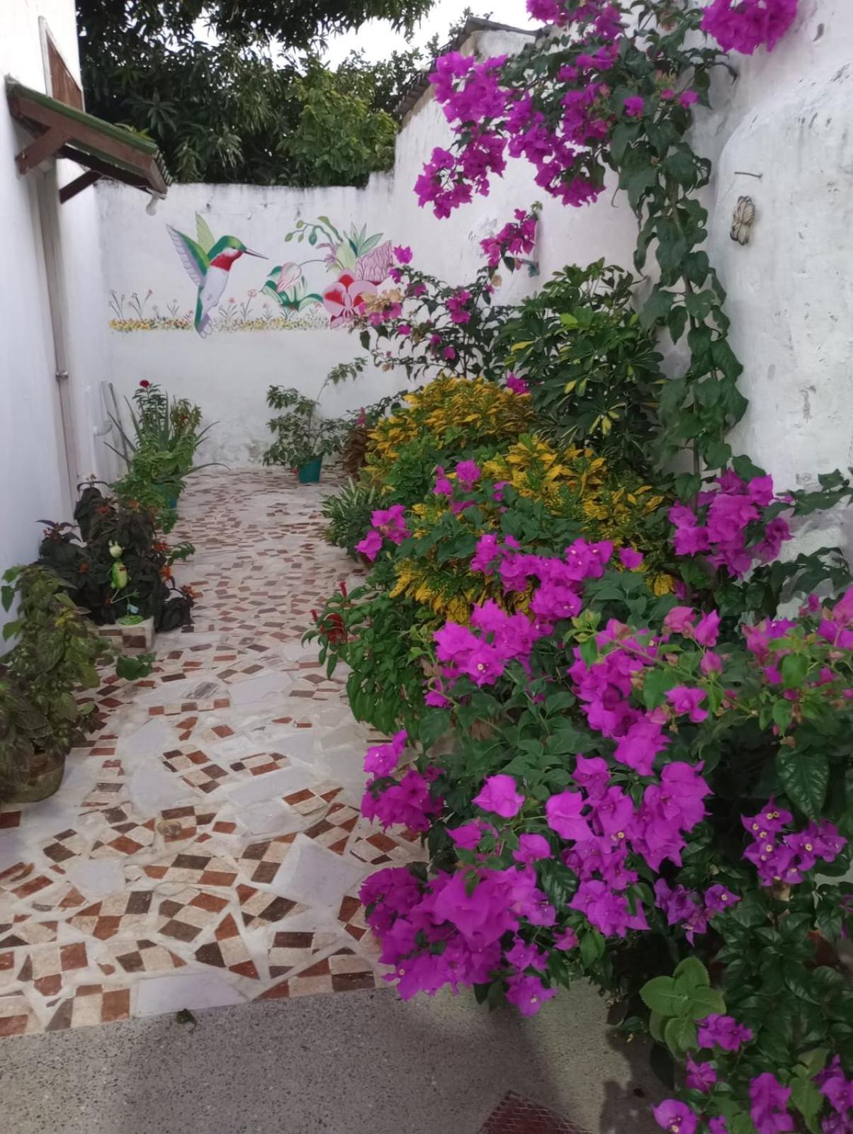 Hospedaje Casa Pachi En Cartagena De Indias Exteriér fotografie